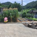 충주시 대소원면 신축주 대지183평 건평30평 매매2억1천만원 이미지