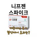 니프젠 스파이크 내돈내산 후기, 혈당 케어 효과는?