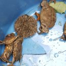 여수 해뜨는 언덕 이미지