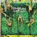 레인보우순카페 이미지