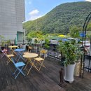 정아애견 이미지