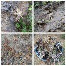 손의개농장 이미지