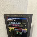 혼자두면 장판뜯어서 차린 개카페 이미지