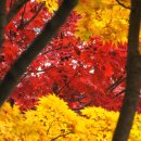 가현어린이공원 이미지