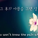 인형의 꿈 / 러브홀릭 이미지