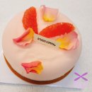 생일 케이크 추천 기념일케이크 얀쿠브레 카페 콤마 신사 영업종료 전 마지막 케익 구매
