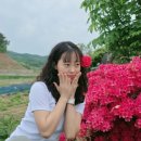 연서 카네이션 이미지