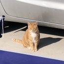 건천해솔지역아동센터 이미지