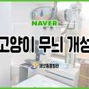 문현동물병원 이미지