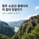 언양미디어종합인쇄 | 원주 소금산 출렁다리 당일치기 코스, 차 없이 기차로