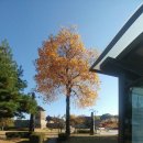 상지약국 이미지