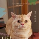 나만 없어 고양이 이미지