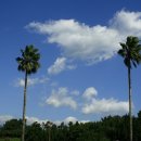 밀레니엄빌 이미지