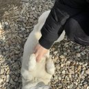 카페포내리