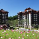 풀베르데 이미지