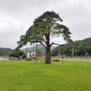 가람정수시스템 | 법주사, 불교 건축과 정신의 정수가 살아 숨 쉬는 공간