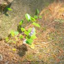 아라 게스트하우스 이미지