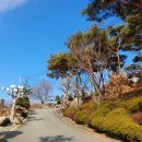 북포항주유소 이미지