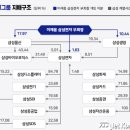 삼성전자 (Samsung Electronics)