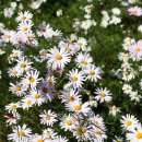 신소양체육공원1 이미지