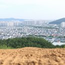 건축사사무소 대지건축 이미지