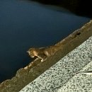 명주회관 이미지