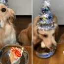 멍케이크 이미지