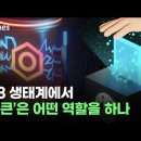 토큰이코노미와 토큰 민주주의-22.07.03 이미지