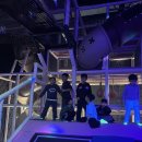 바른i태권도
