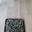 두배농장 이미지