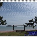 (주)진도군민신문인쇄사 | 전남 진도군 가볼만한 곳