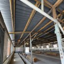 성림안전 | [부산 근교/양산 사송 대형카페] 성림목장 (수제 우유와 건축상을 받은 카페)