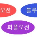 퍼플오션(purple ocean)이 뜬다 이미지