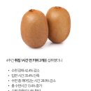 경천교회 | 나랑 대판 싸운 학생이 질문단톡에 남기고 간 카톡