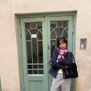 마메르시 이미지