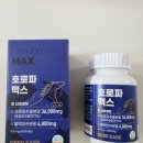 블랙맥스 | 호로파 블랙마카 캡슐 후기 | 딥이즈 호로파 맥스 솔직 리뷰