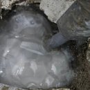 도봉-도봉-서울도봉-2212 이미지