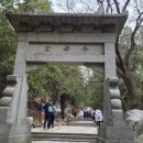 칠성여행사주