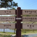 초막골 이미지