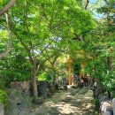 복채농장 이미지