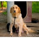 나금이네 이미지