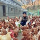 산양축산 이미지