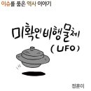 조선왕조실록 UFO 목격담.JPG 이미지