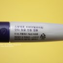 세기스템셀 이미지