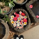 바다와 하루 이미지