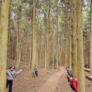 친구카서비스 | 제주도 렌트카 기사포함 요금 부담 없어 좋았던 친구들과 제주 여행