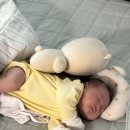 꼭찌 | 생각하고 있다면 꼭 구비해두세요! 내돈내산 솔직 후기 - 란시노 라놀린 크림, 마더케이 유두 보호기