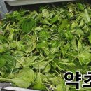 질경이농장2 이미지