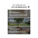 더샵 센텀스타 | 부산부분도배잘하는곳 :: 재송동 센텀스타 부분도배 시공후기! 필요한 부분만 도배하세요 :: 온도배