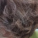 머리하기좋은날 | 머리하기 좋은 날! 화곡역미용실에서 기분 전환 성공한 후기